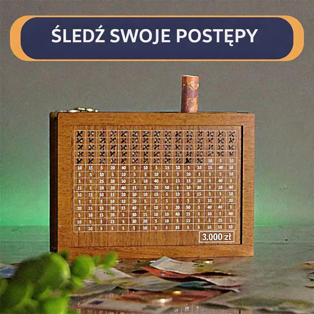 Orgaznizer pieniędzy