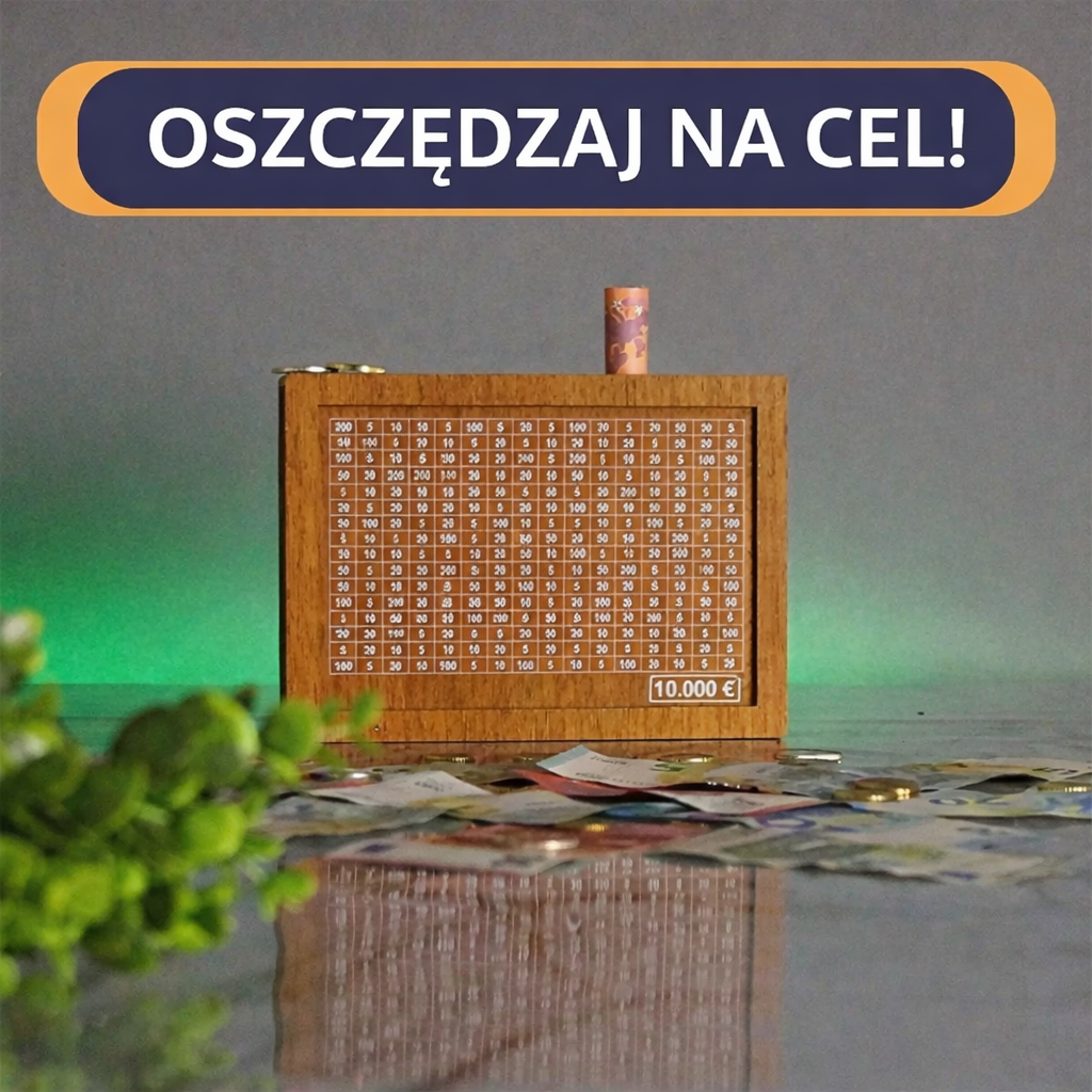 Orgaznizer pieniędzy